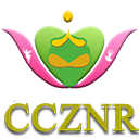Chinese Culture ZNR Logo
